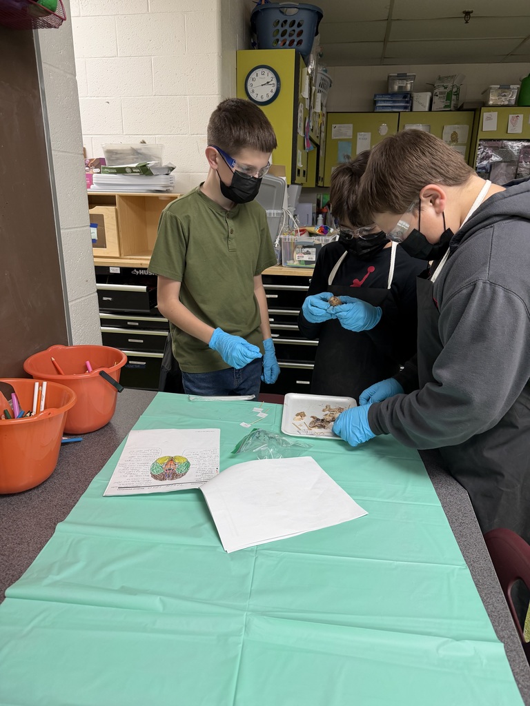 students working in a lab setting
