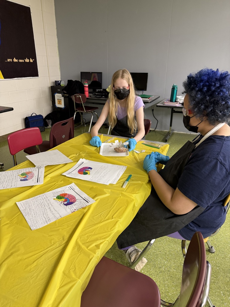 2 girls working in a lab setting 