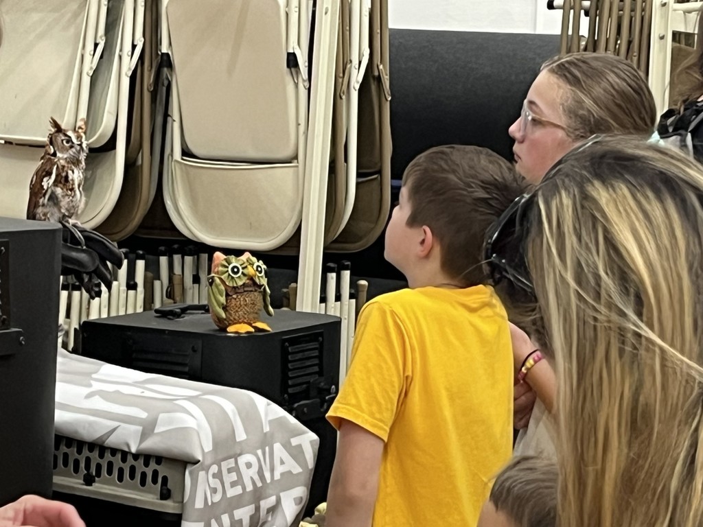 Students looking at owl