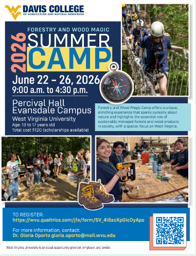 blue flyer with information about a forestry summer camp