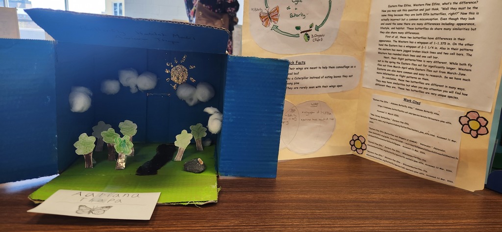 Student Butterfly Exhibits