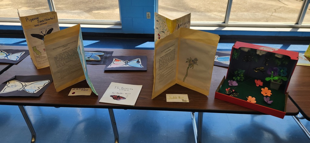 Student Butterfly Exhibits