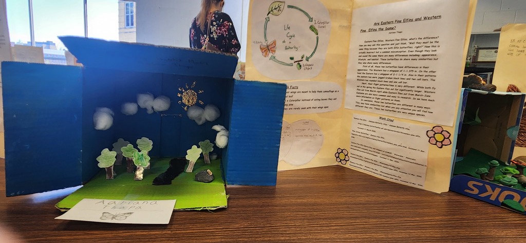 Student Butterfly Exhibits