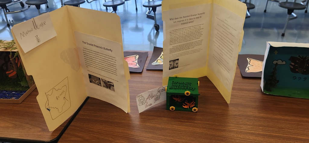 Student Butterfly Exhibits