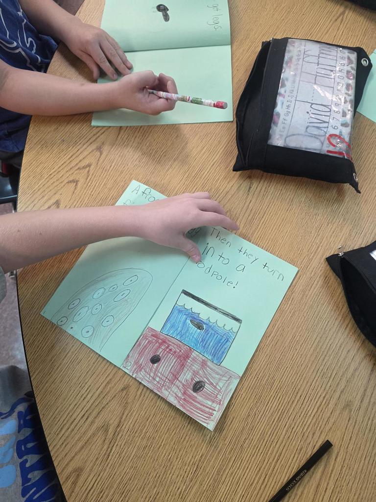hands showing what they learned about frogs