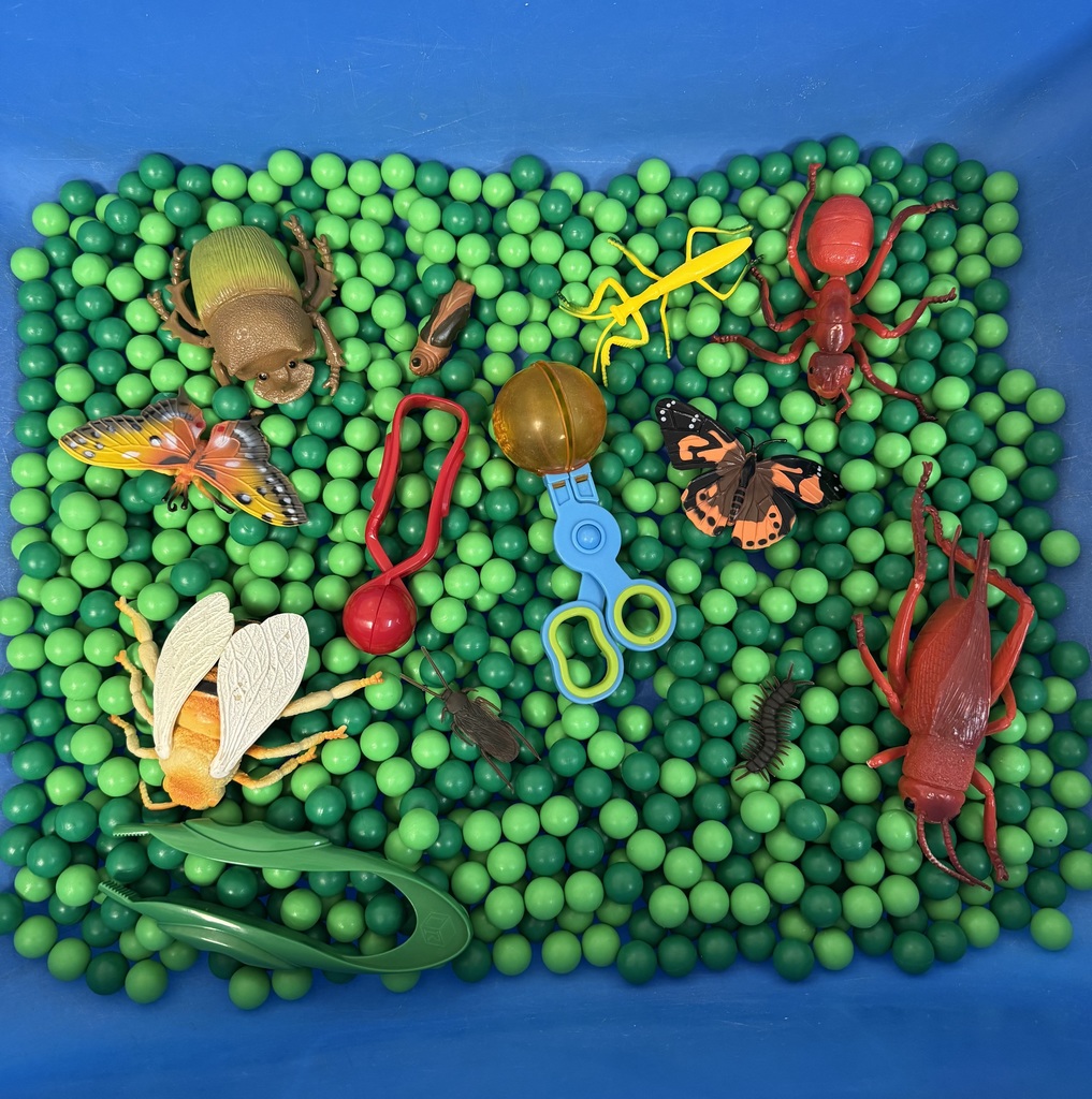 Bugs in beads