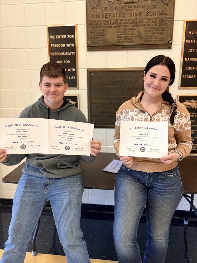St Nw NOCTI certification 