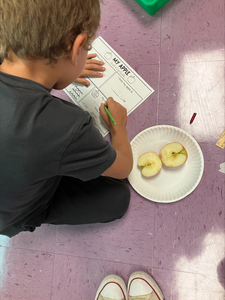 Student doing apple experiment