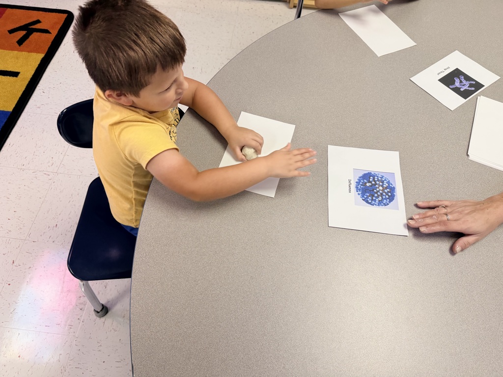 Prek students learning about germs