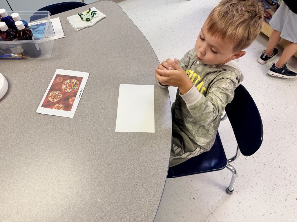 Prek students learning about germs