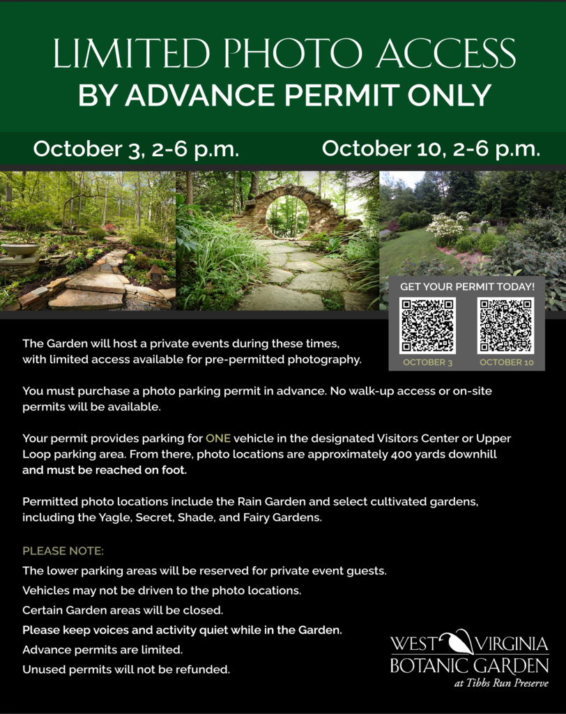 Limited photo Access for Homecoming information and QR codes