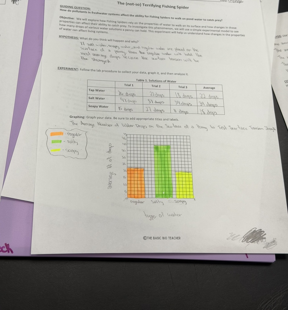 A worksheet with texts, a table that has been filled out and a graph that has 3 bars each a different highlighter color.