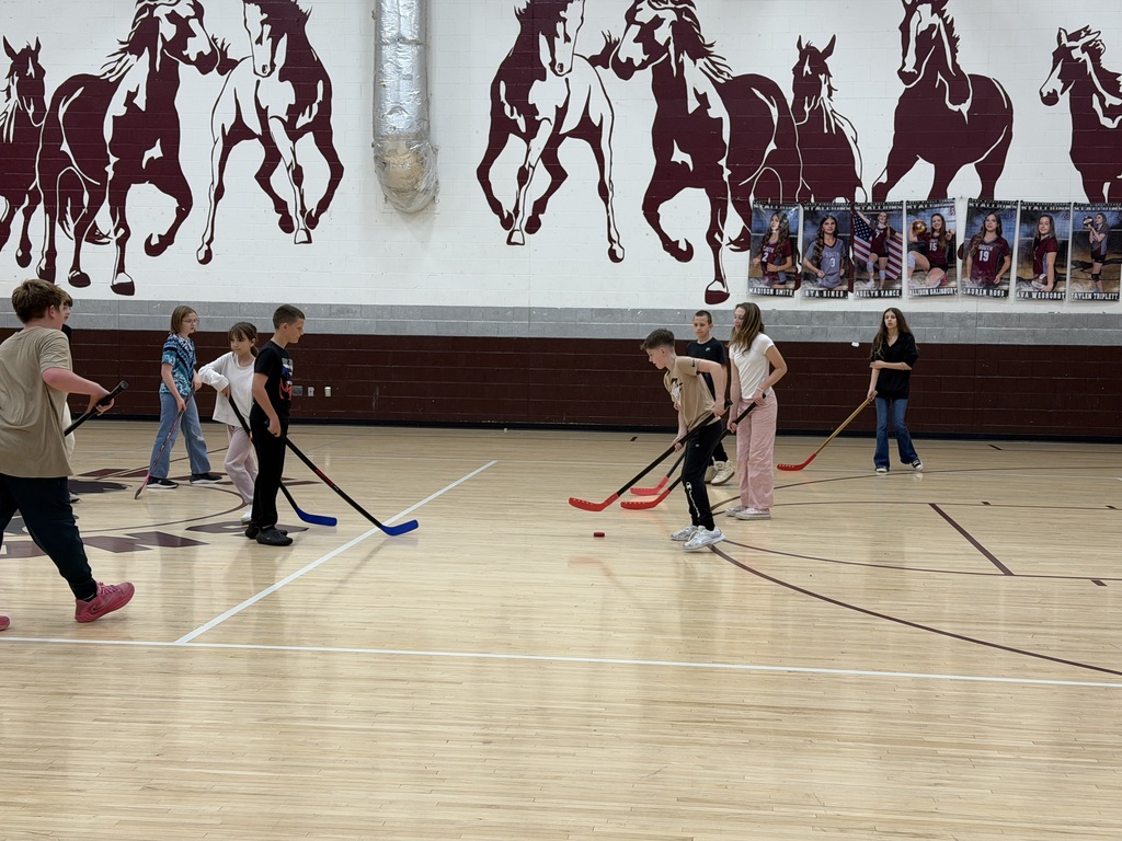 Students playing hockey in a gymnasium. There are stallions painted on the wall. Some students have blue sticks others have red sticks. There is a puck sitting on the floor with no contact.