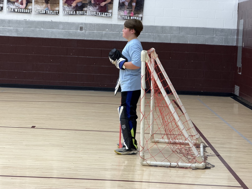 Boy standing in front of a goal in the gym. He is holding a hockey stick and has gloves on his hands.