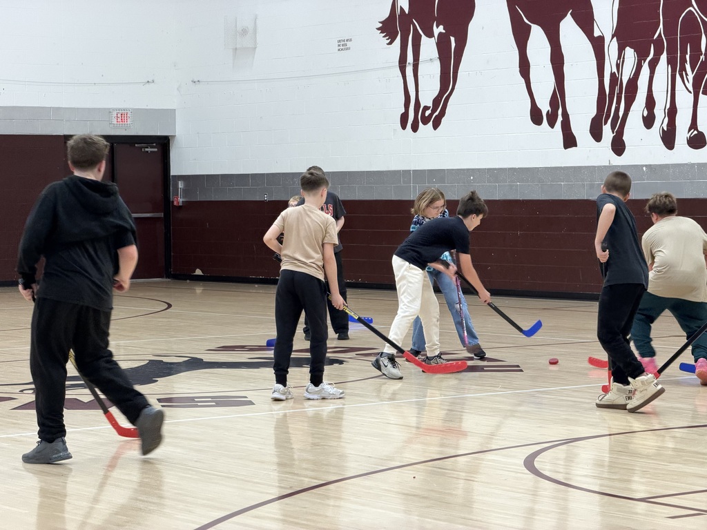 7 students in a gymnasium playing hockey. Some students have a blue stick and others have a red stick. There is a red puck on the floor.