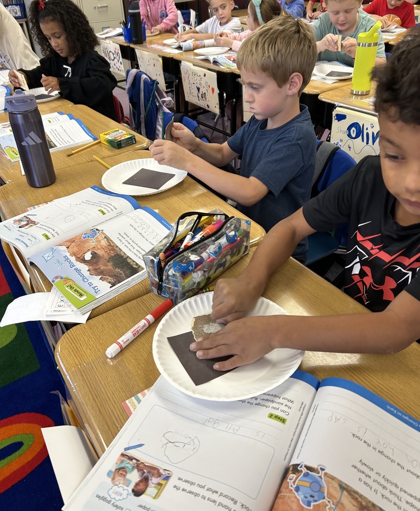 Students performing science experiments.