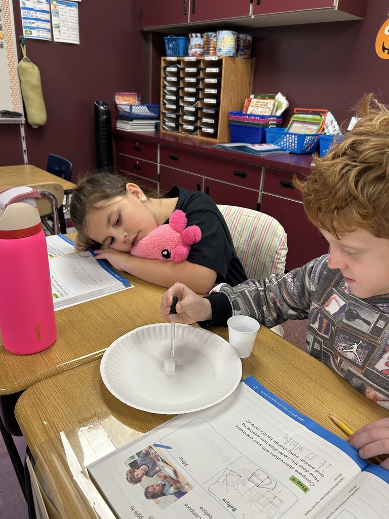 Students performing science experiments.