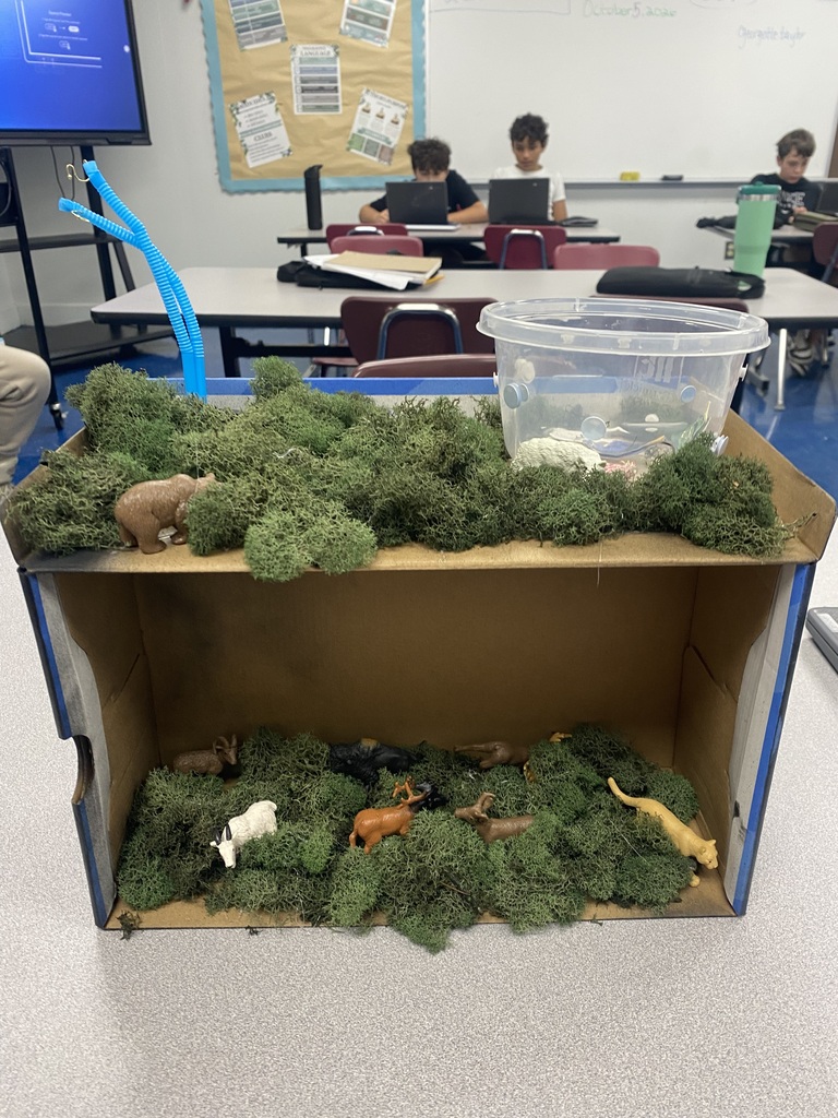 A photo of a shoebox with what appears to be broccoli covering it. You can also see animals have been glued in between pieces of broccoli. There is a plastic container on top of the box. There are students sitting at a table in the background.