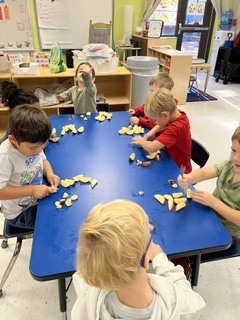 Prek students cutting apples