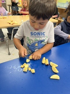 Prek students cutting apples