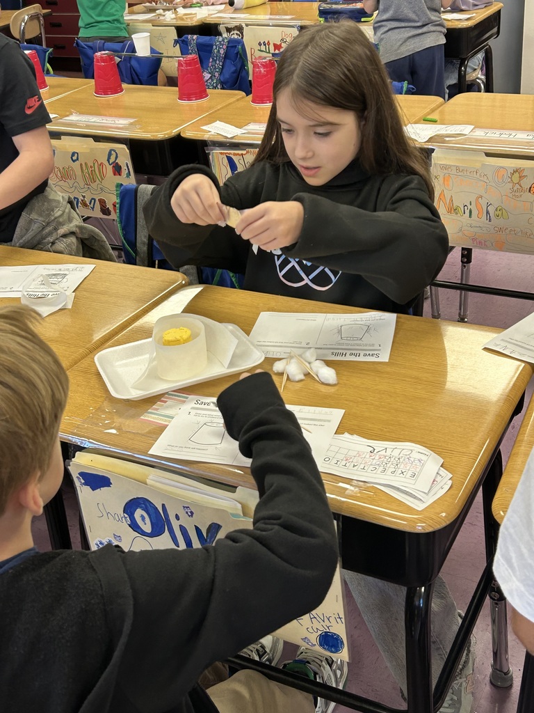 Students performing science experiments