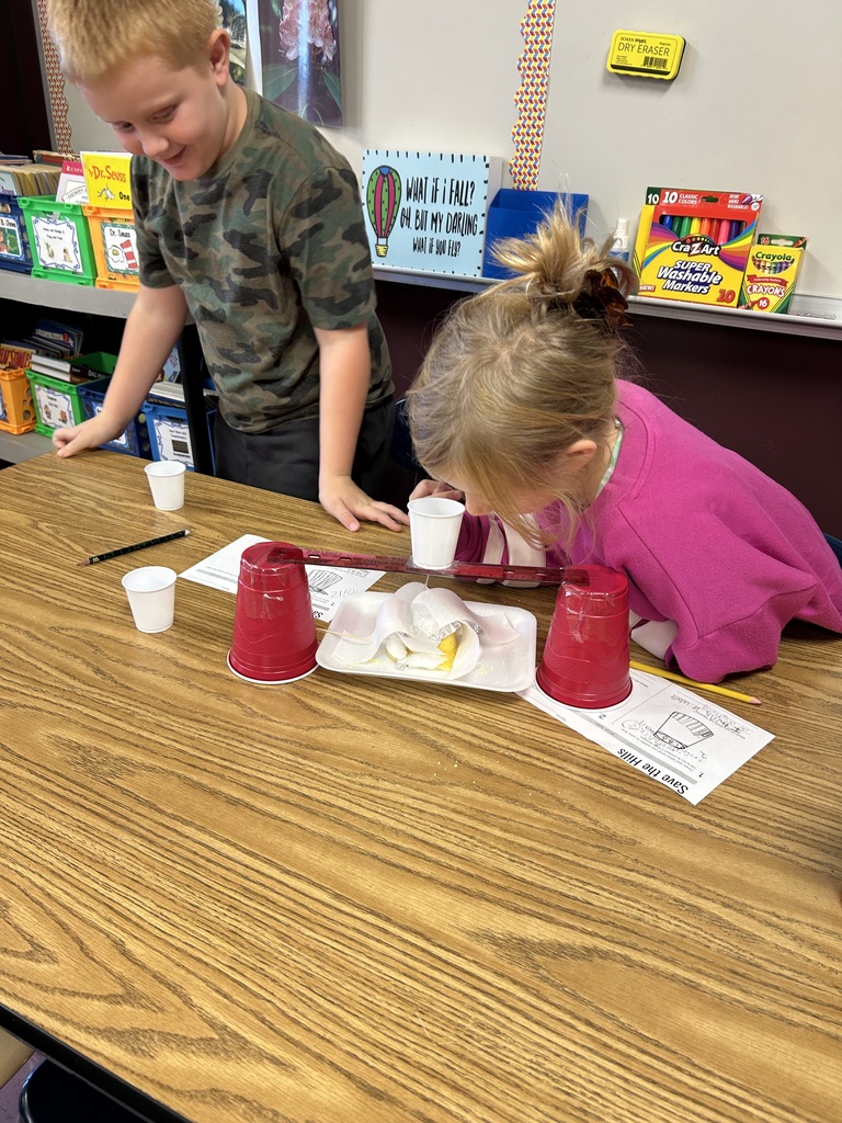 Students performing science experiments