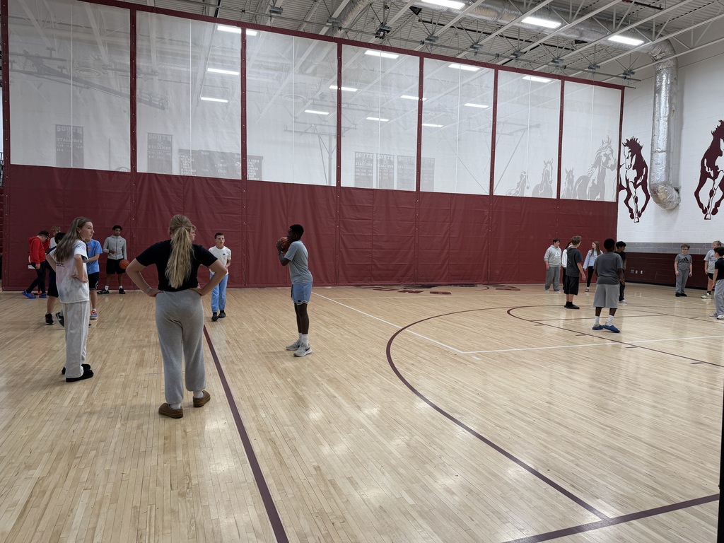 A photo of students standing in a gym. It appears they are playing basketball.