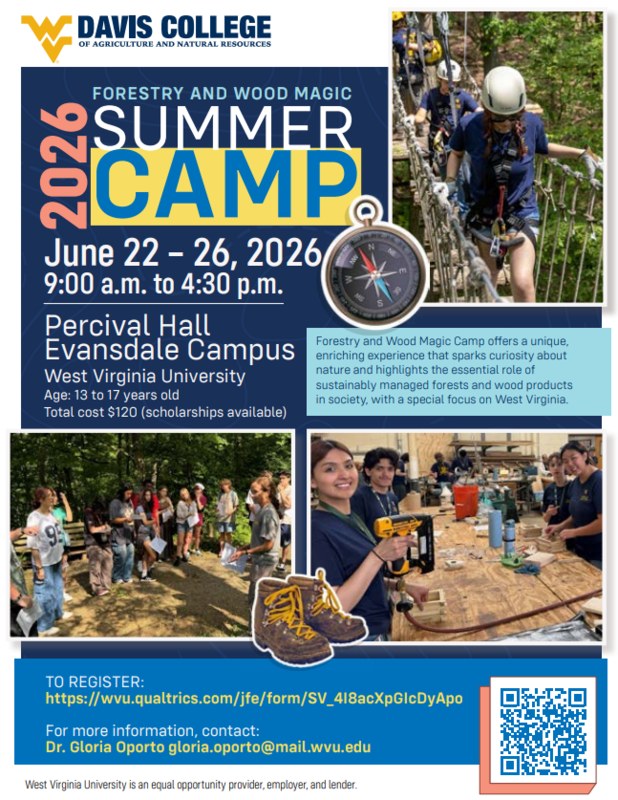 2026 Forestry and Wood Magic Summer Camp