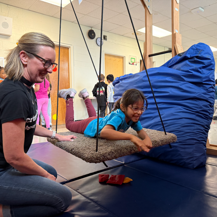 woman in a black shirt pushing girl on swing in a blue shirt