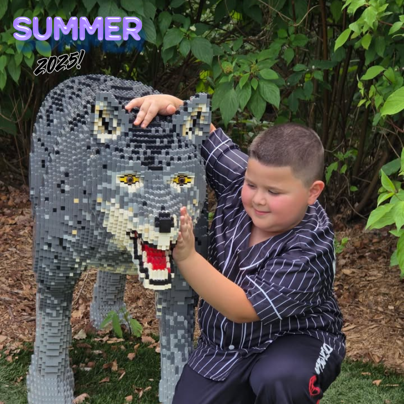 boy in grey striped shirt petting a lego wolf