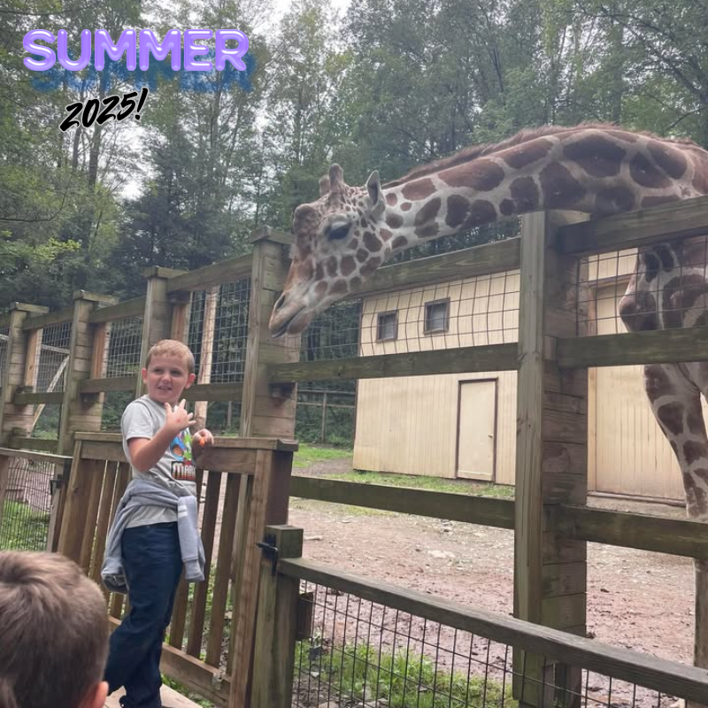 student in grey feeding a giraffe 