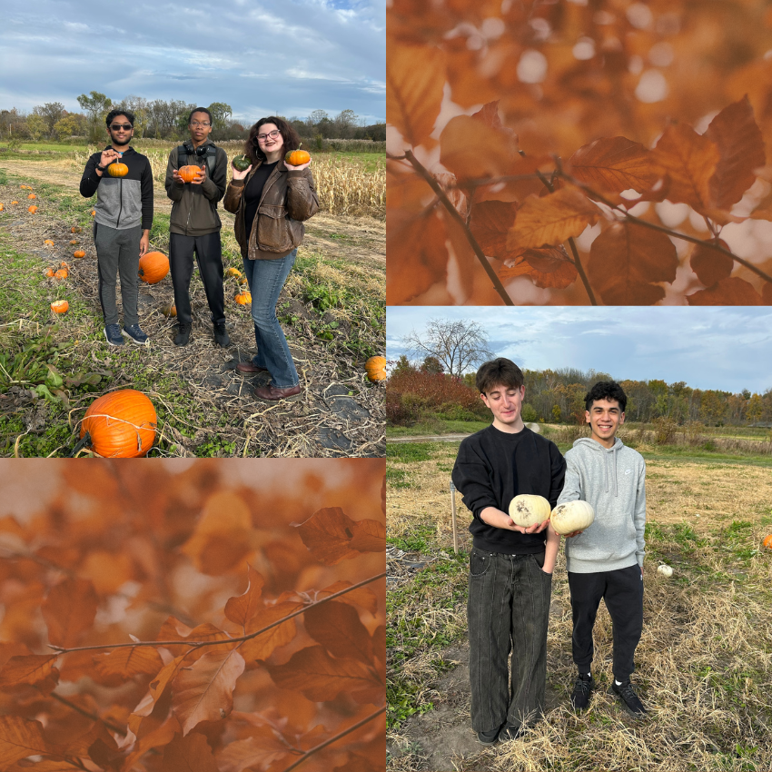 students holding pumpkins