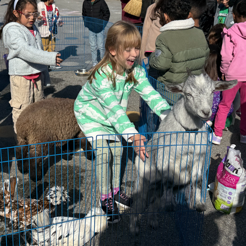 students petting a goat