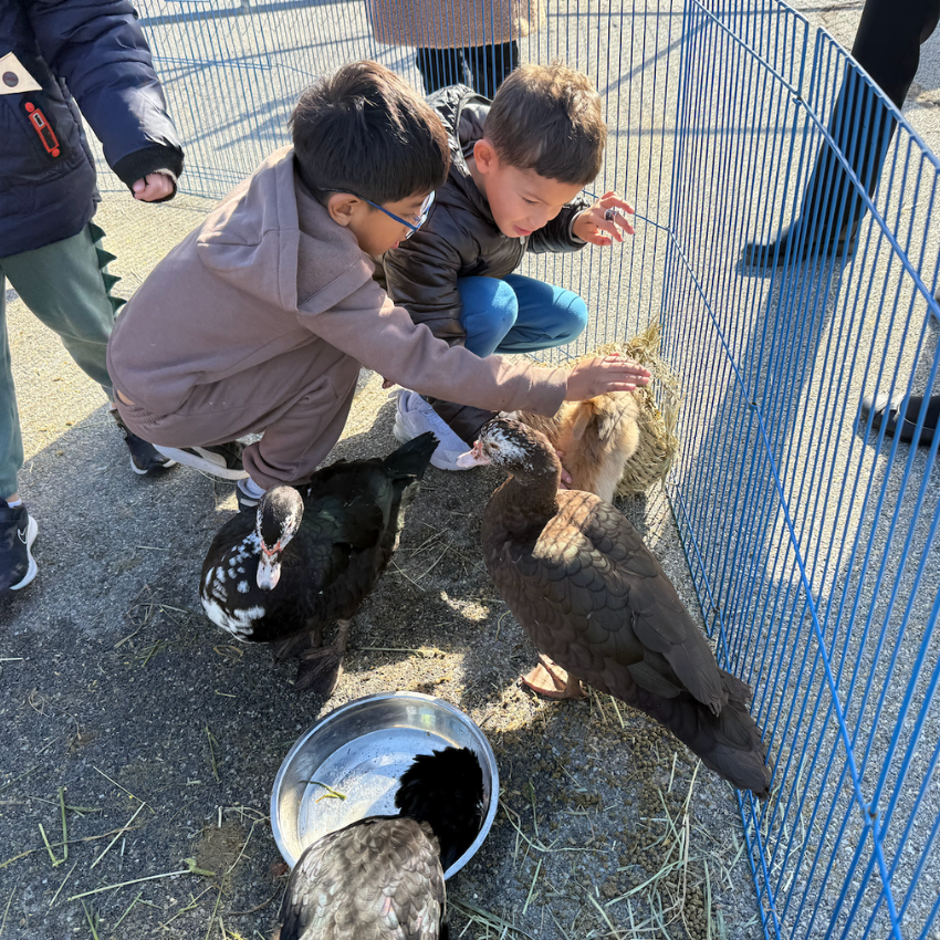 two students petting a duck 
