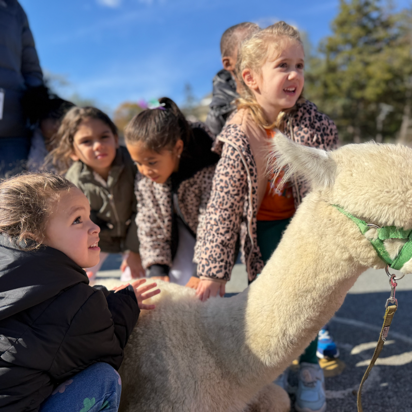 students petting a llama