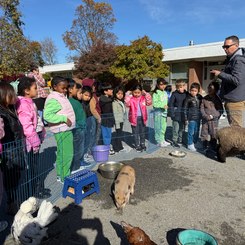 students standing next to baby pig