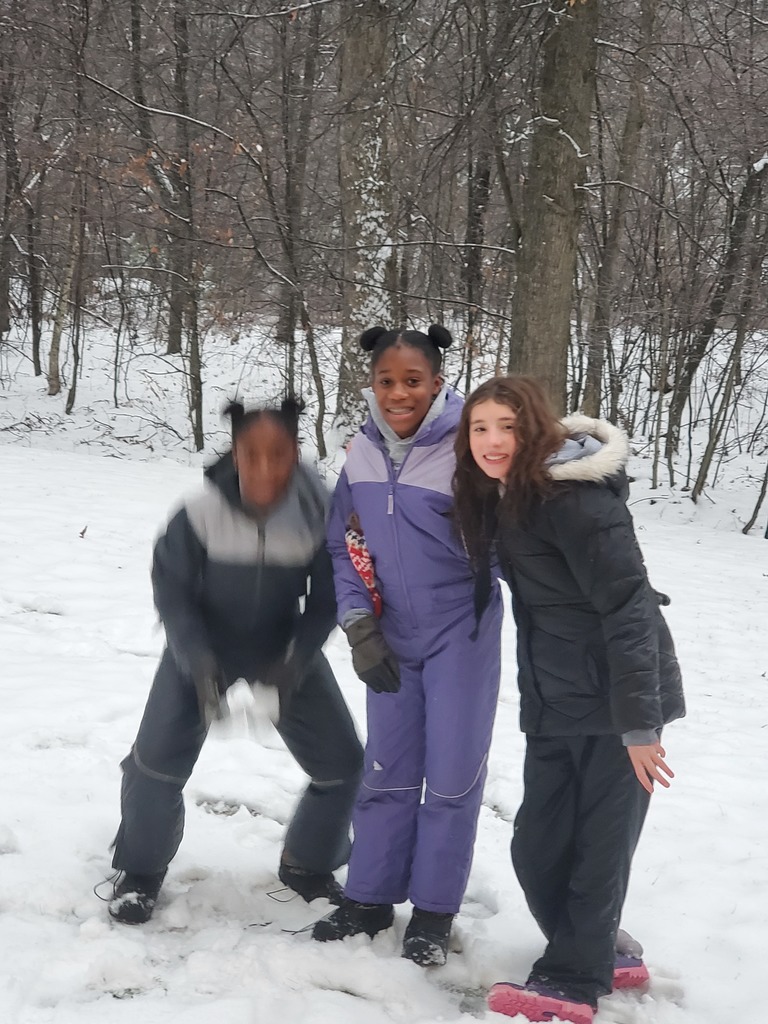 three girls having fun in the snow
