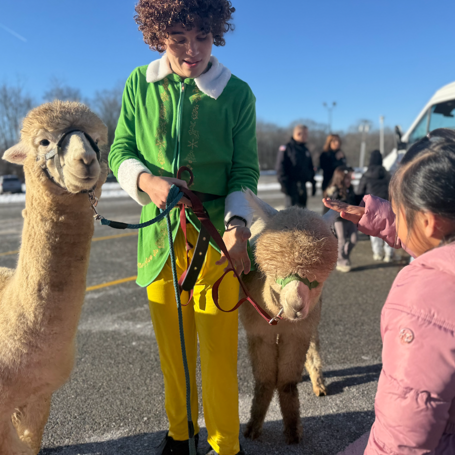 man in elf costume holding two alpacas
