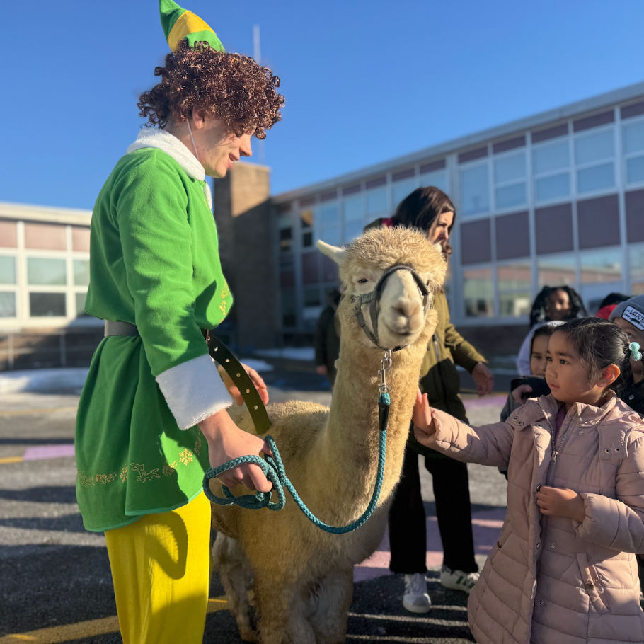 man in green and yellow elf costume standing next to alpaca