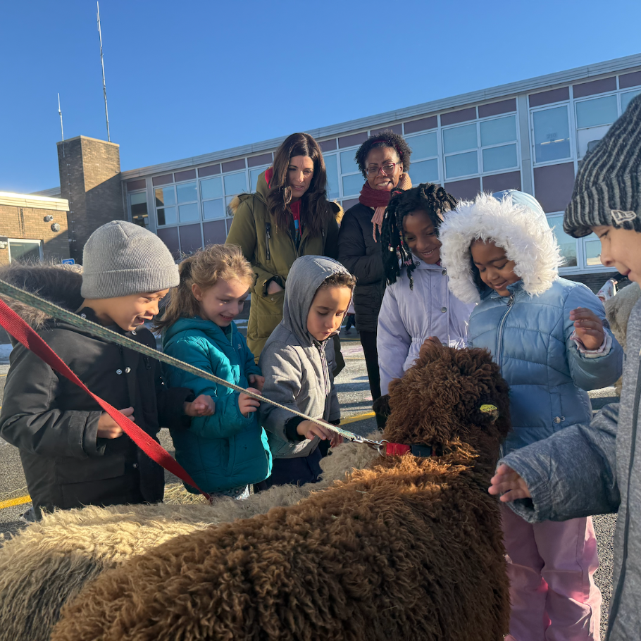 kids petty dolly sheep