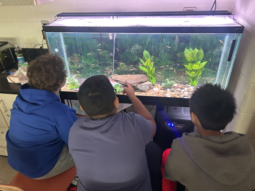 students counting fish