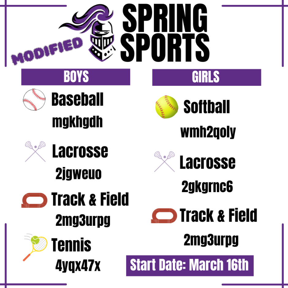 modified spring sports 