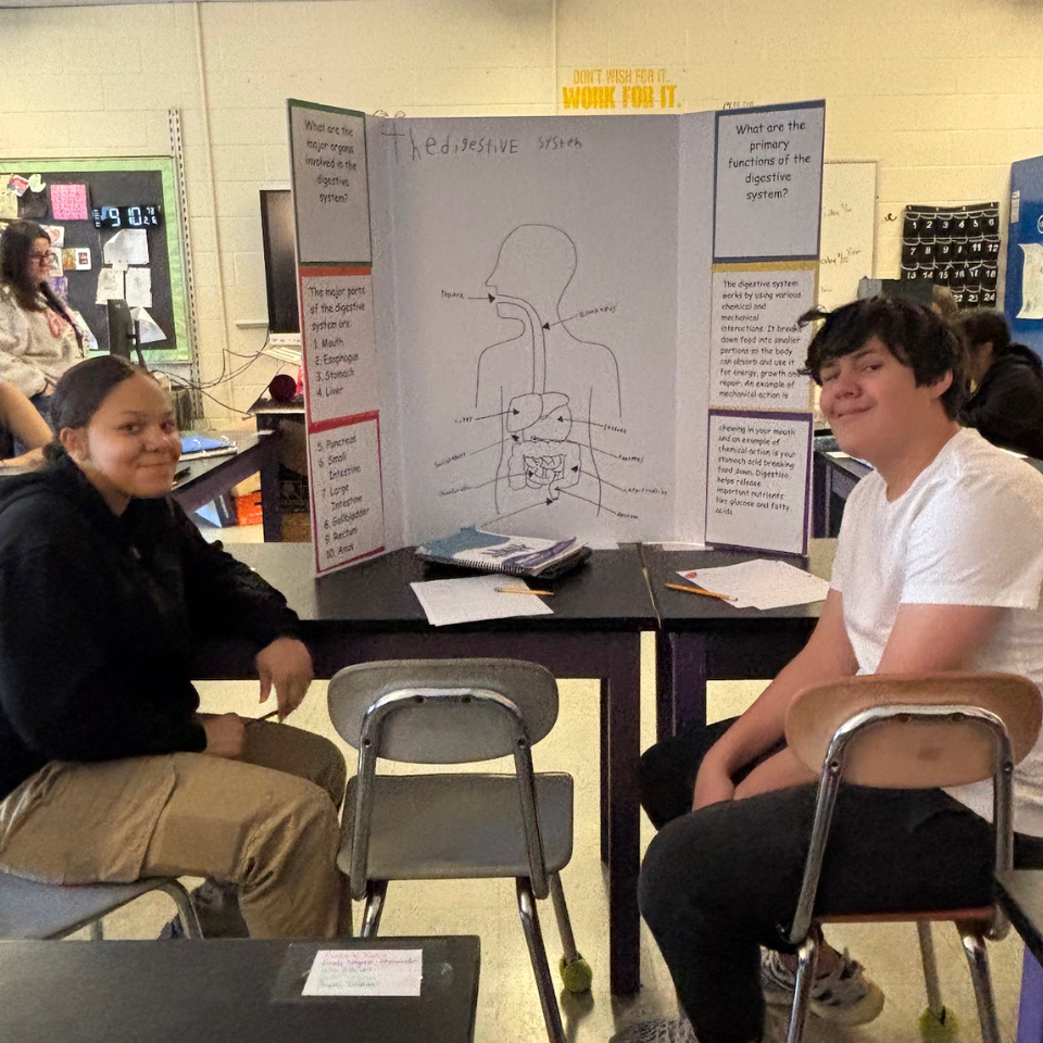 The digestive system