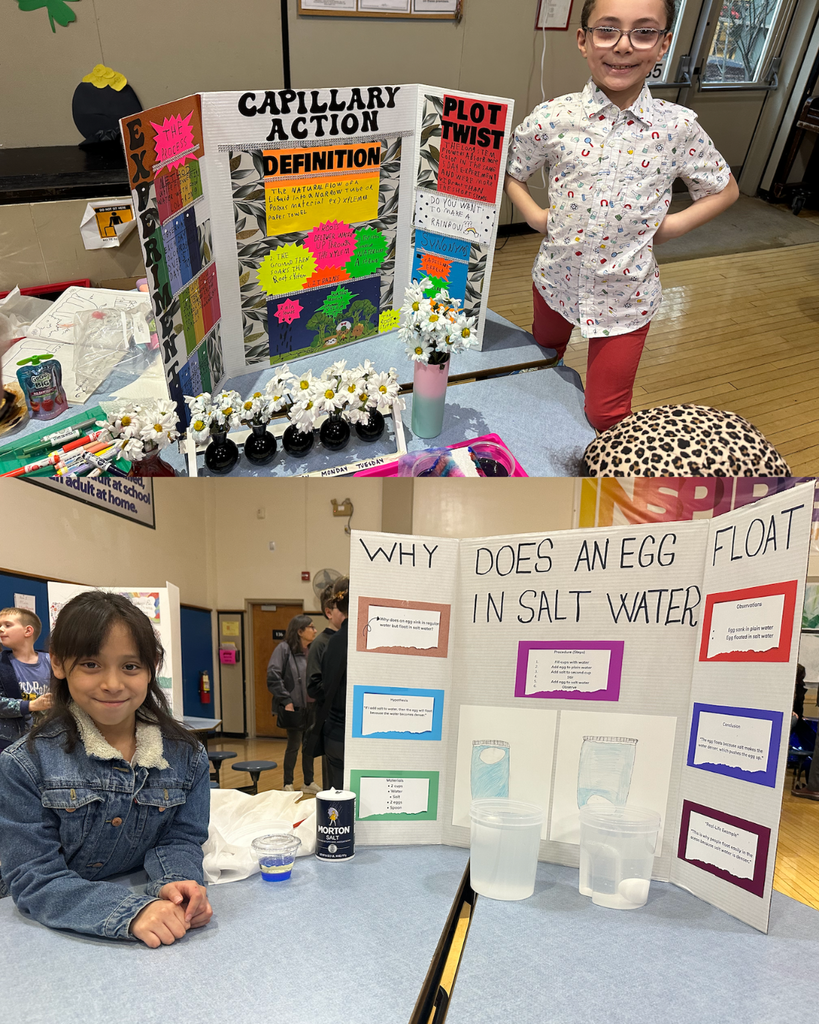 Capillary action, why does an egg float in salt water 