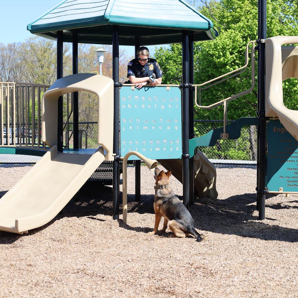 a b v d e f g h i j k l m n o p q r s t u v w x y z