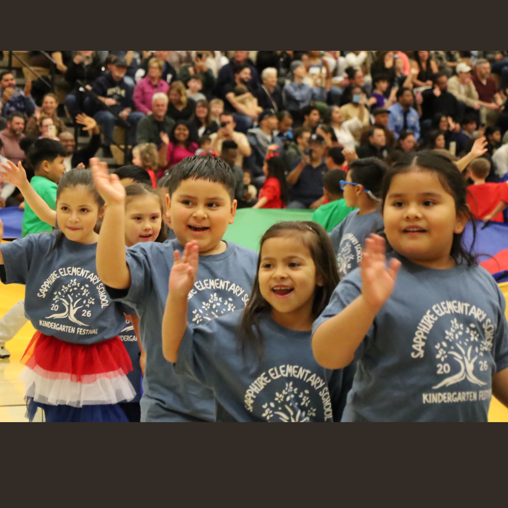 Sapphire elementary school
