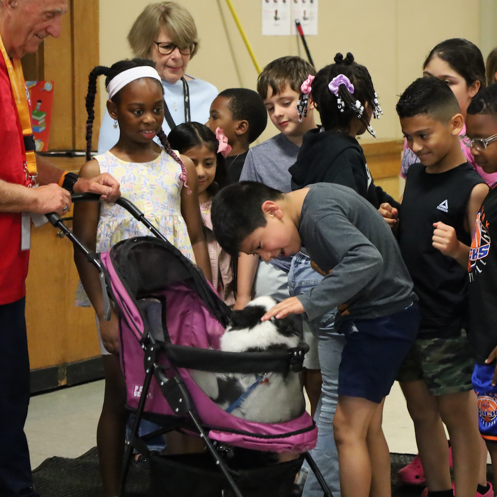students petting dog in a stroller