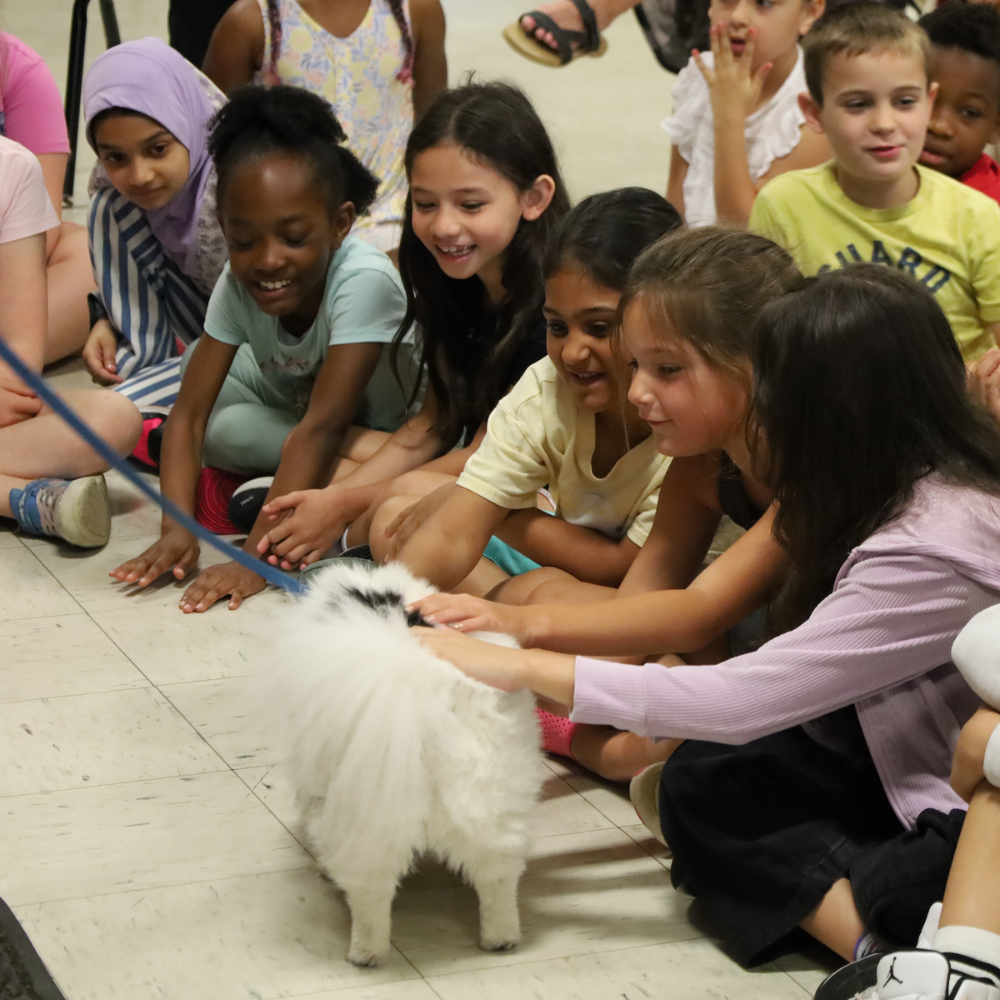students petting dogs