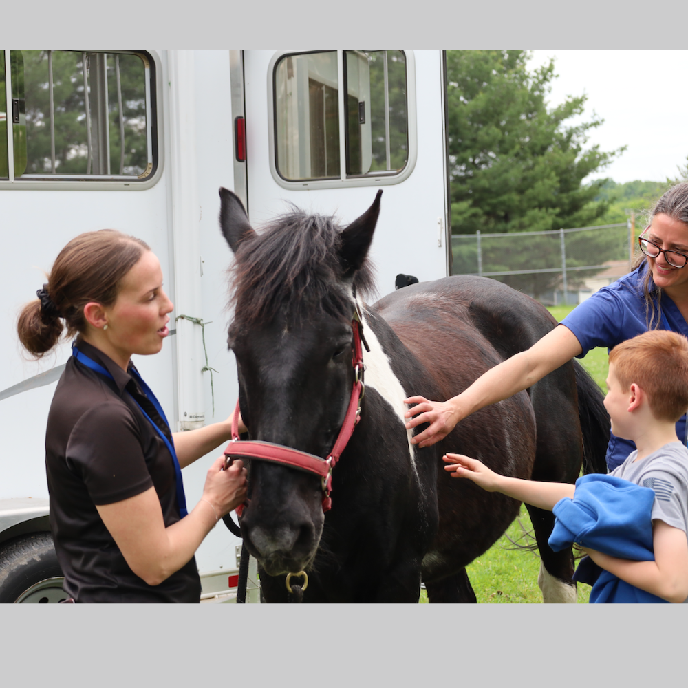 three people petting a horse