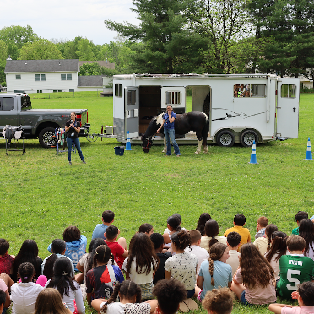students sitting in the grass watching a black and white horse